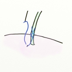 Pasted Graphic 4