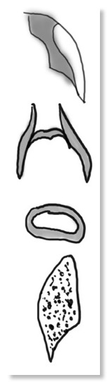 Pasted Graphic 10