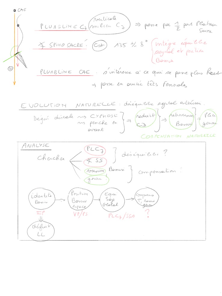 Équilibre sagital  2