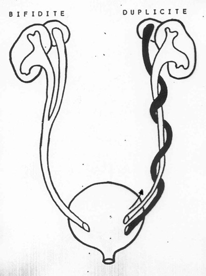 uropathies8-3269d
