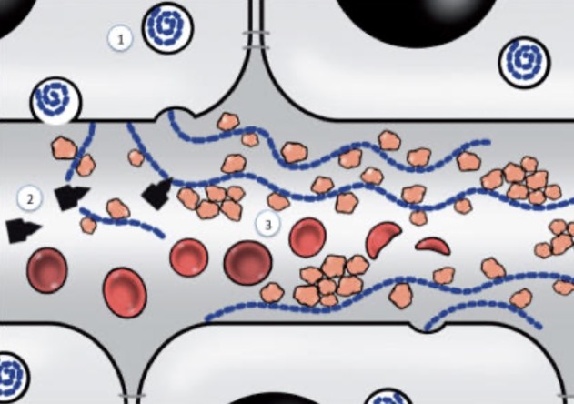 Capture d’écran 2025-12-06 à 07.04.17