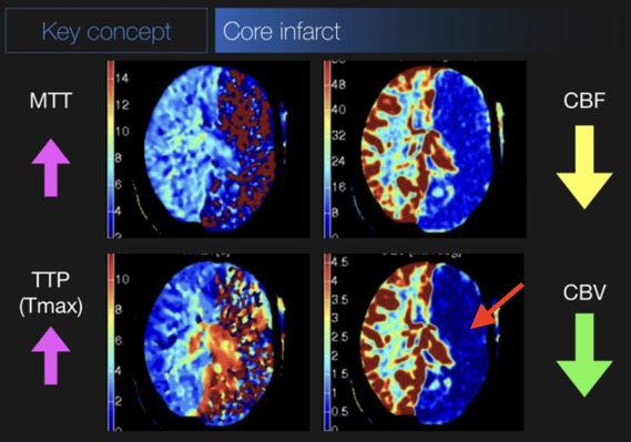 Capture d’écran 2025-08-09 à 08.06.25