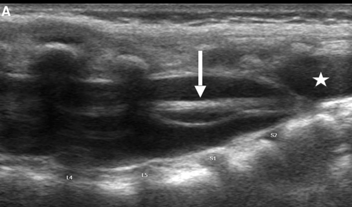 Capture d’écran 2025-10-19 à 07.31.52