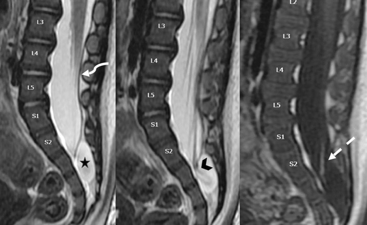 Capture d’écran 2025-10-19 à 07.32.13