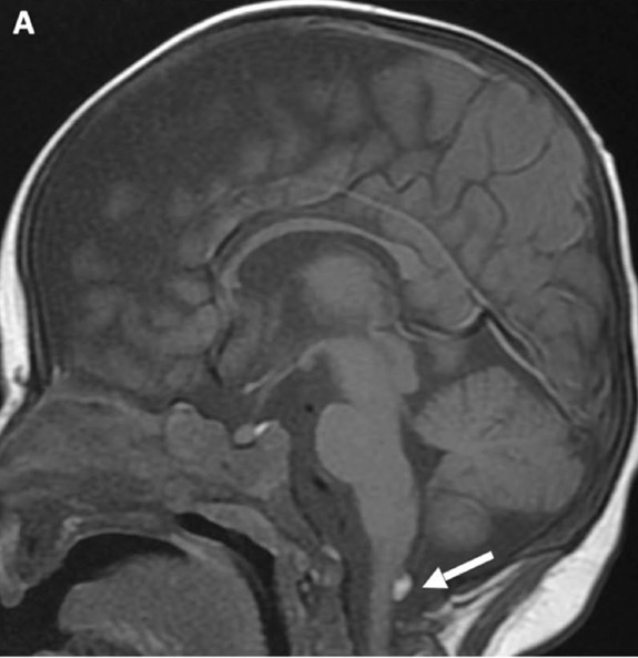 Capture d’écran 2025-10-19 à 07.32.28