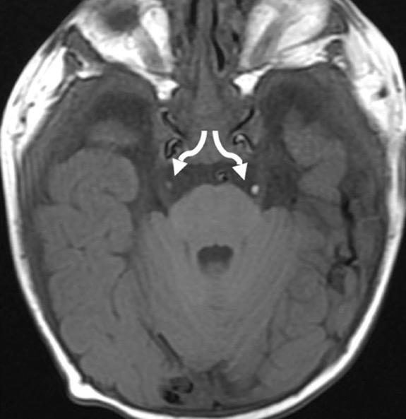 Capture d’écran 2025-10-19 à 07.32.40