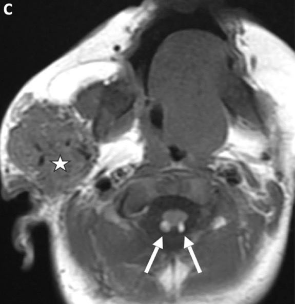 Capture d’écran 2025-10-19 à 07.32.52