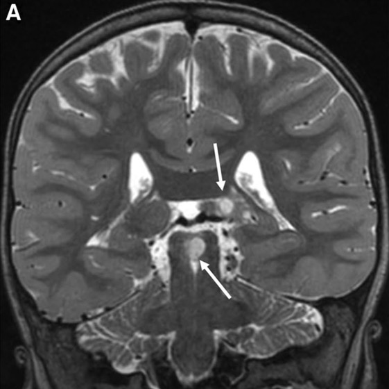 Capture d’écran 2025-10-19 à 07.33.59