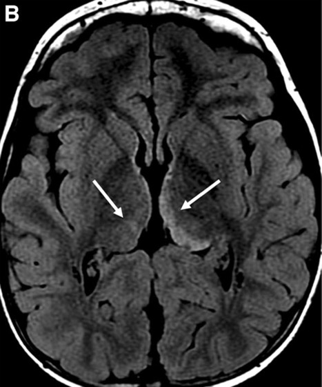 Capture d’écran 2025-10-19 à 07.34.11