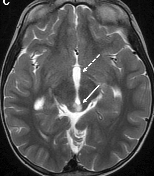 Capture d’écran 2025-10-19 à 07.34.24