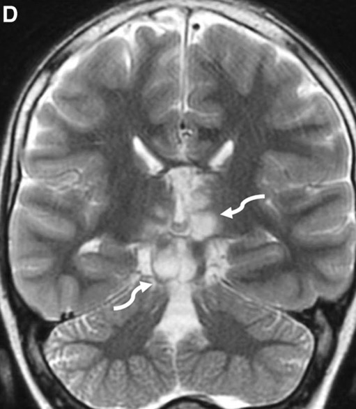 Capture d’écran 2025-10-19 à 07.34.34