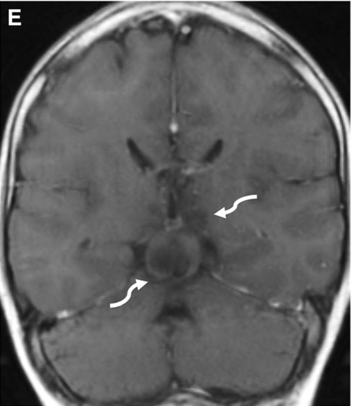 Capture d’écran 2025-10-19 à 07.34.51