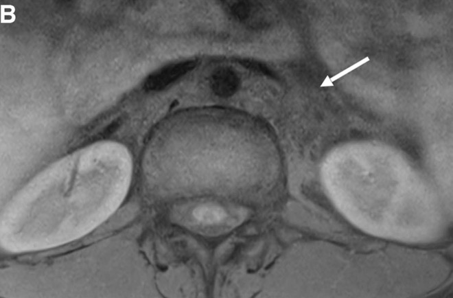 Capture d’écran 2025-10-19 à 07.36.15