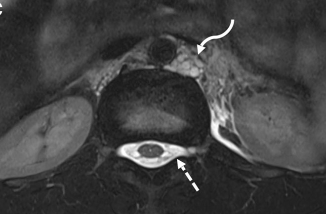 Capture d’écran 2025-10-19 à 07.36.24