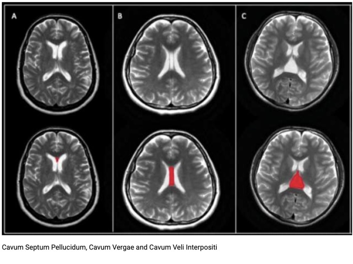 Capture d’écran 2025-12-06 à 06.05.19