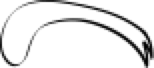 Pasted Graphic 10
