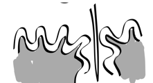 Pasted Graphic 21