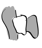 Pasted Graphic 22
