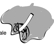 Pasted Graphic 23