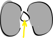 Pasted Graphic 7