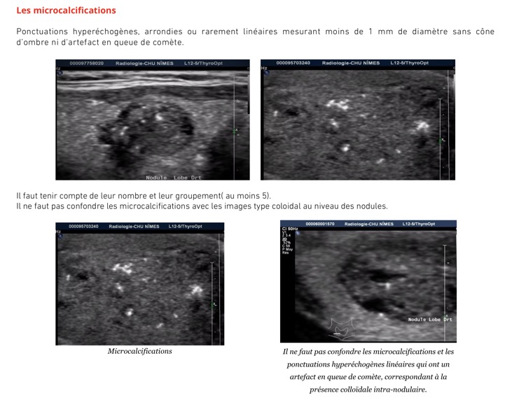 Capture d’écran 2025-11-08 à 10.24.52