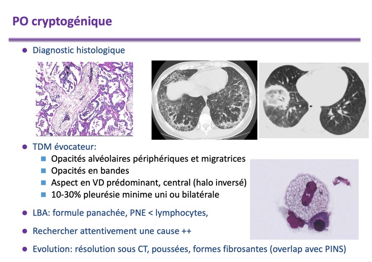 Capture d’écran 2026-02-22 à 09.09.51