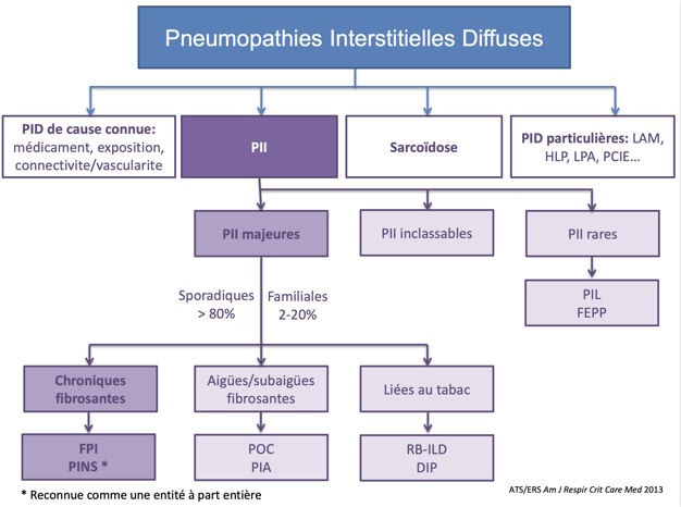 Capture d’écran 2026-02-22 à 09.17.38