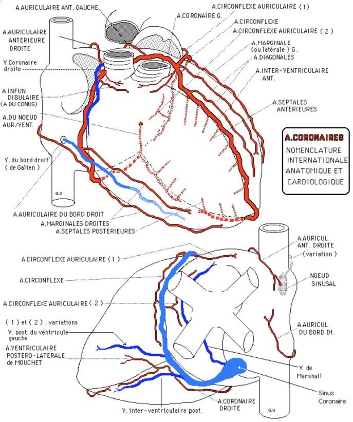 Capture d’écran 2025-12-06 à 06.20.29