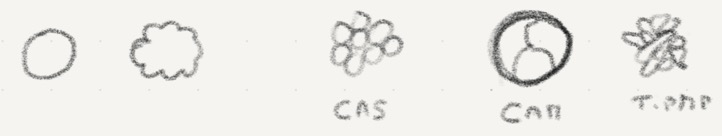 668BD281-E8E3-4D9F-B6C1-C274EC868300_1_201_a