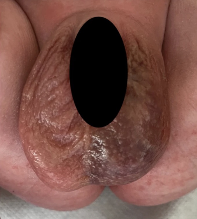 Capture d’écran 2025-10-22 à 12.17.26