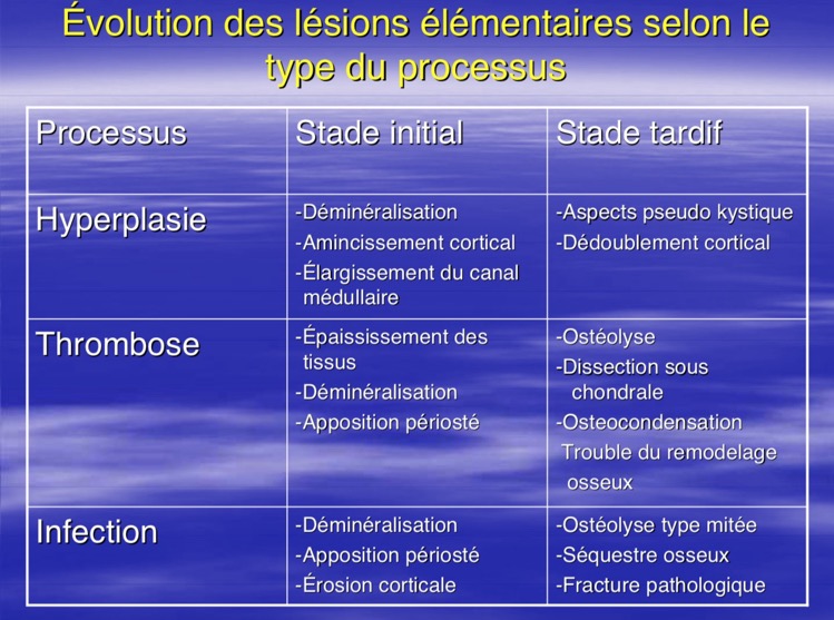 Évolution des lésions élémentaires selon le type du processus