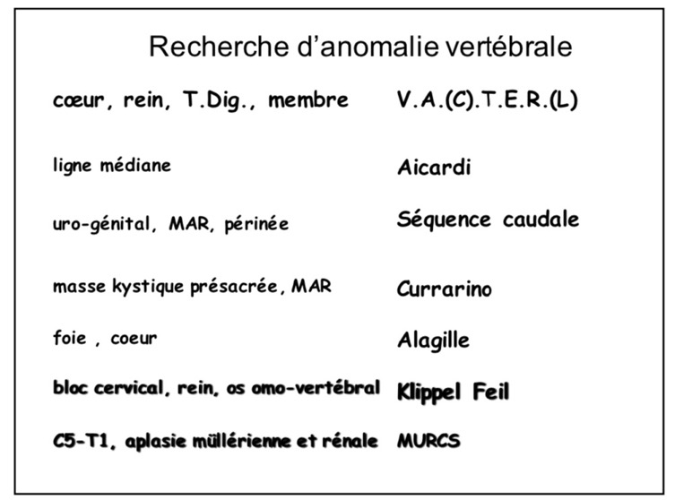 Recherche d&#39;anomalie vertébrale