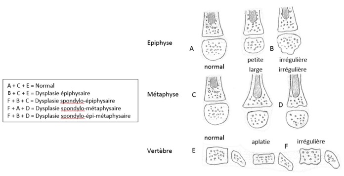 Capture d’écran 2025-10-31 à 06.36.39