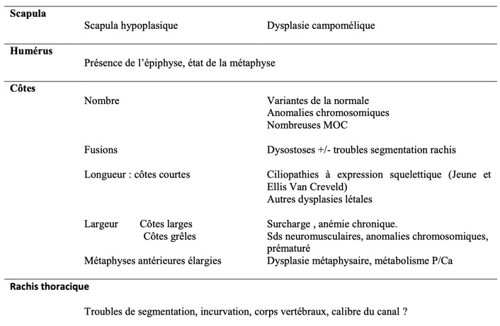 Capture d’écran 2025-10-31 à 06.41.51