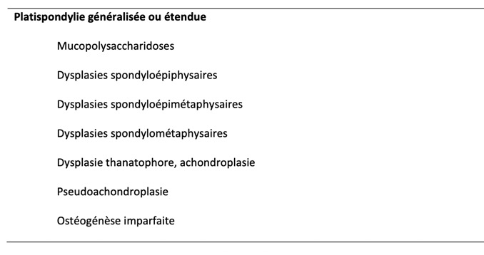 Capture d’écran 2025-10-31 à 06.47.12