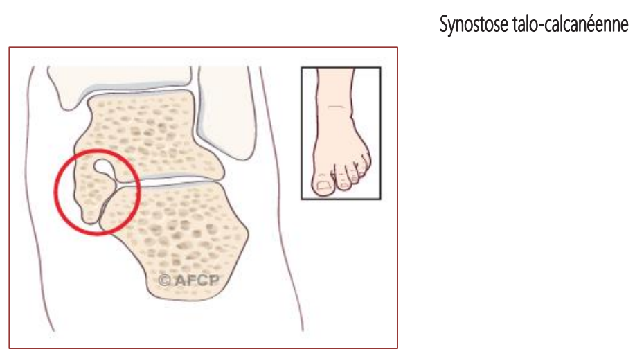 Capture d’écran 2026-02-23 093618