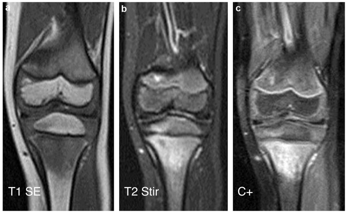 Capture d’écran 2025-06-06 à 07.32.23