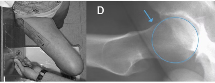 Capture d’écran 2025-11-16 à 10.46.59