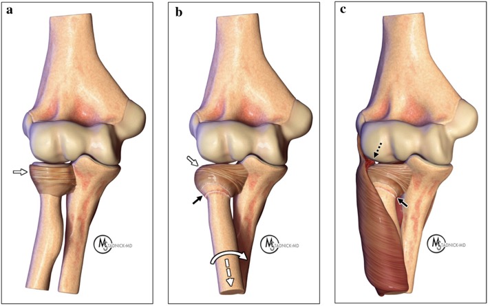Capture d’écran 2026-02-22 à 08.43.09