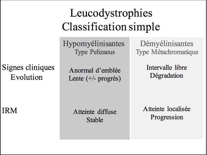 Leucodystrophies