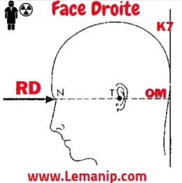 Facr droite